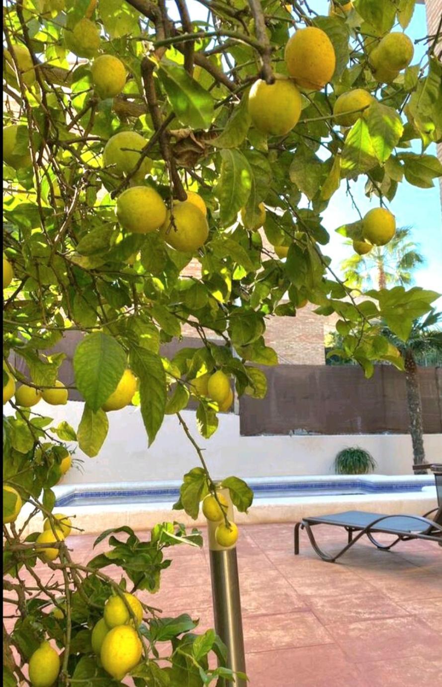 Hébergement de vacances Casa En Valencia, Cerca De Golf, Playas, Moto Gp Valence